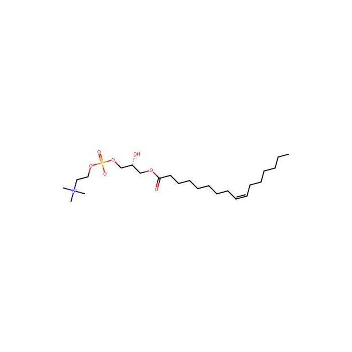 LysoPC(16:1(9Z))