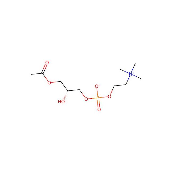 溶血磷脂酰胆碱 来自非转基因大豆