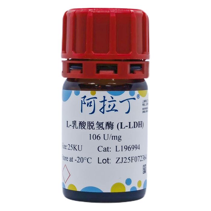 重组L-乳酸脱氢酶 (L-LDH)