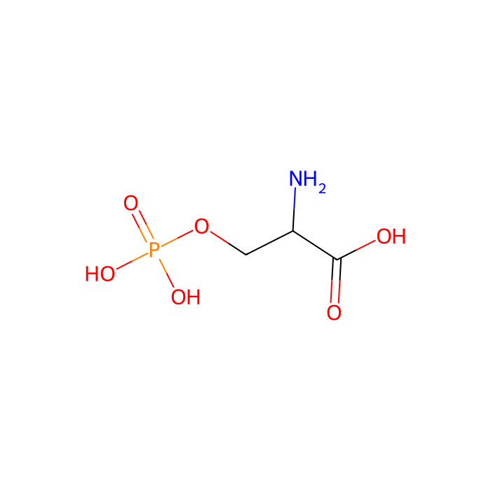 L-O-磷酸丝氨酸, mGlu 4 受体激动剂；mGlu 6 受体激动剂；mGlu 7 受体激动剂；mGlu 8 受体激动剂