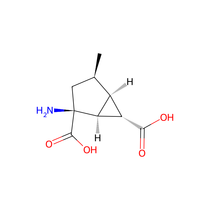 LY395756, mGlu 2 受体的激动剂；mGlu 3 受体的拮抗剂