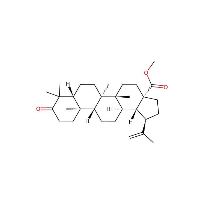 Methyl Betulonate