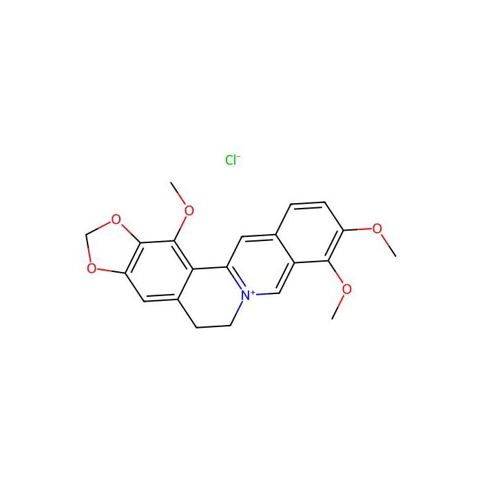 1-Methoxyberberium