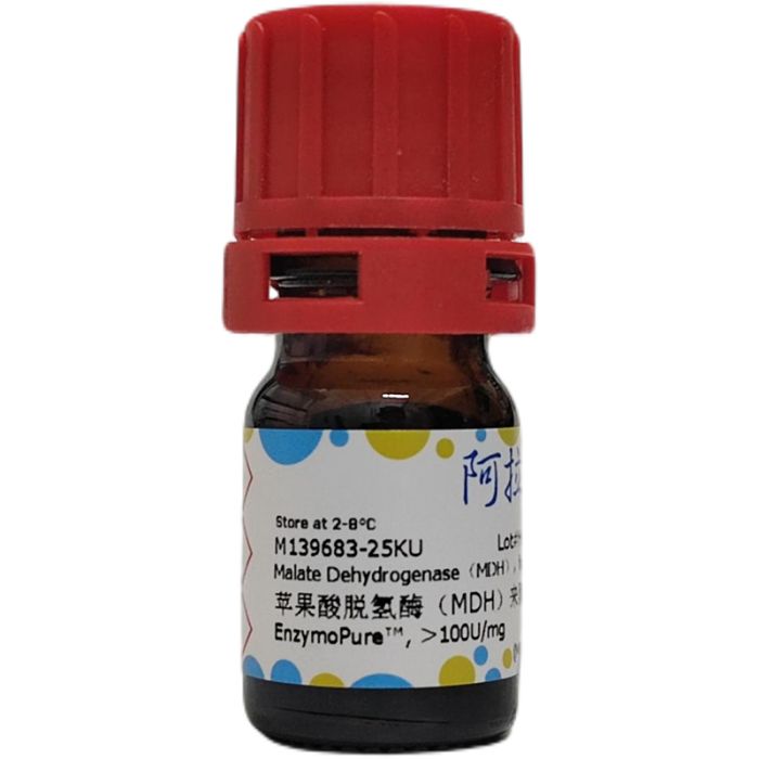 苹果酸脱氢酶（MDH）来源于栖热菌