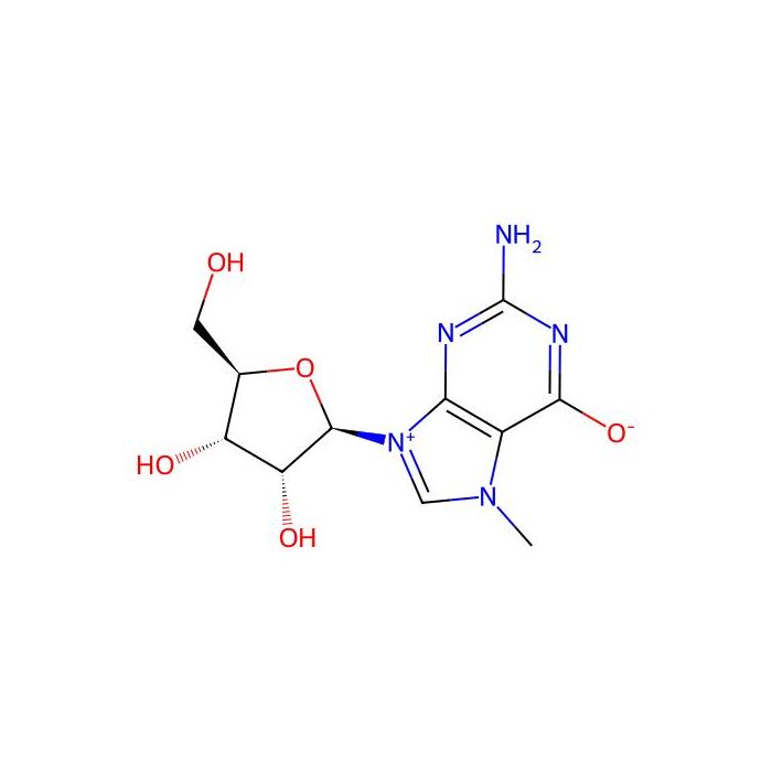 7-Methylguanosine