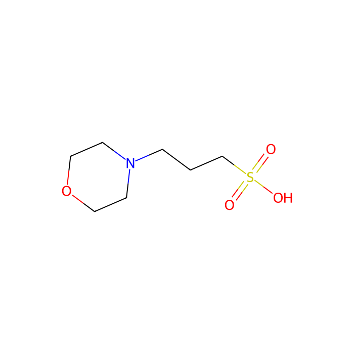 MOPS-Sodium Acetate电泳缓冲液