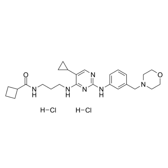 MRT67307 dihydrochloride 