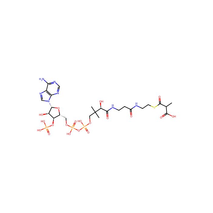 methylmalonyl-CoA