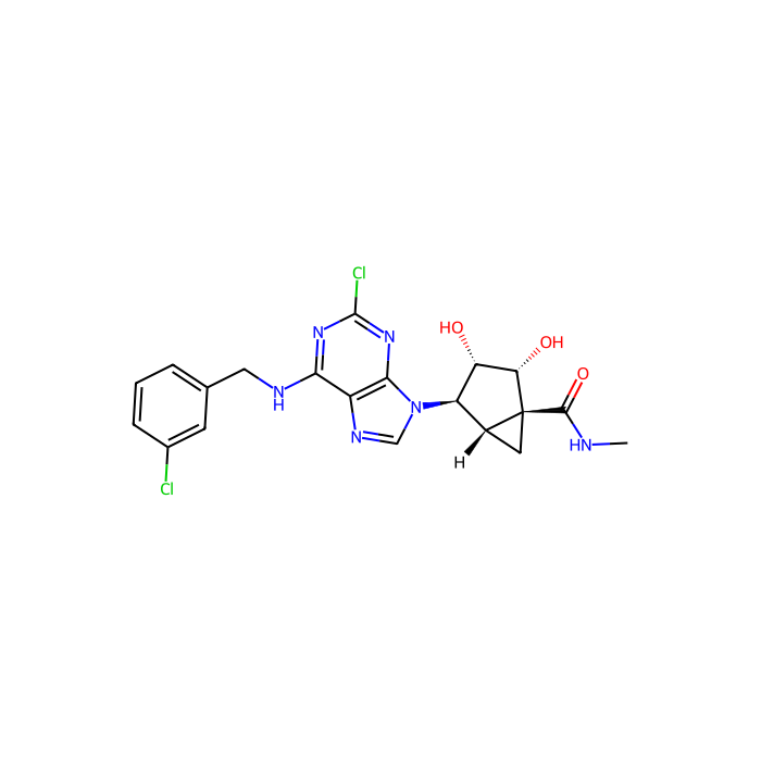 MRS3558, A 1 受体激动剂；A 2A 受体激动剂；A 2B 受体激动剂；A 3 受体激动剂