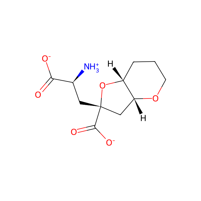 MSVIII-19, GluK1 拮抗剂