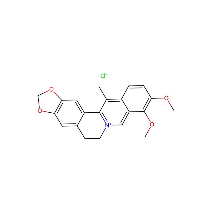 13-Methylberberine chloride