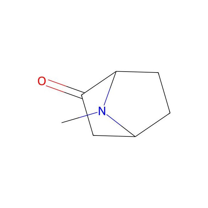 7-methyl-7-azabicyclo[2.2.1]heptan-2-one
