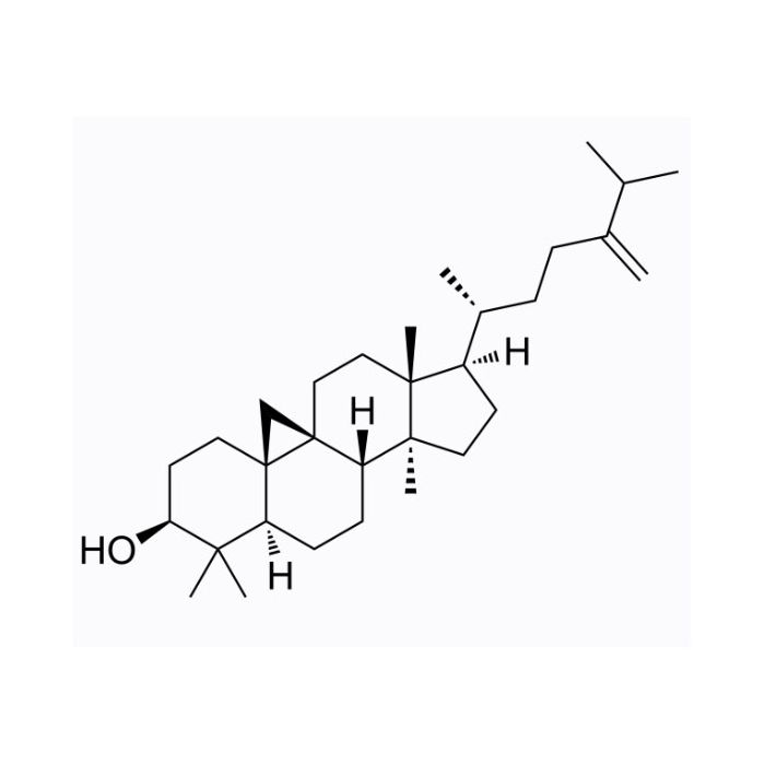 24-Methylenecycloartan-3β-ol