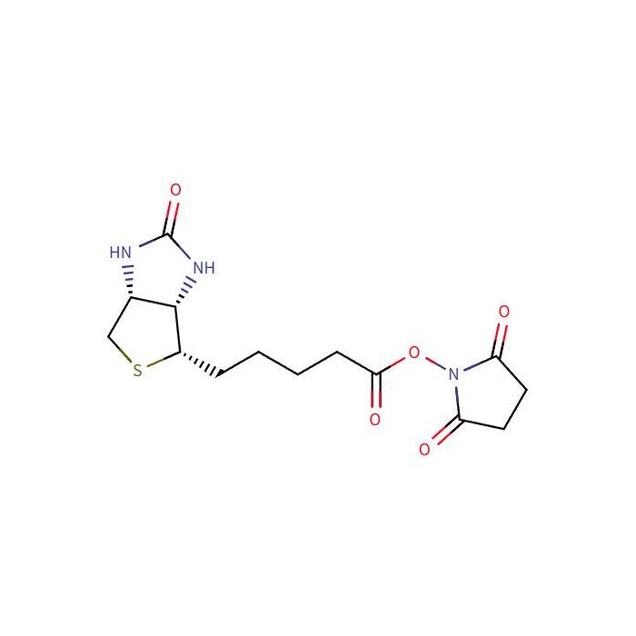 D-生物素 N-羟基琥珀酰亚胺酯