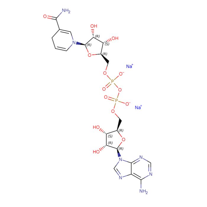 还原型辅酶I 二钠(β-NADH)