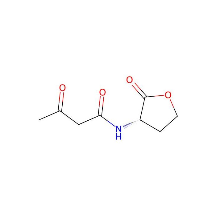 N-(3-Oxobutanoyl)-L-homoserine lactone