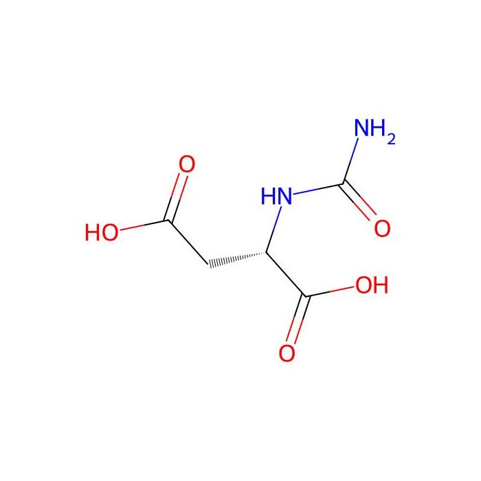 N-carbamoylaspartic acid