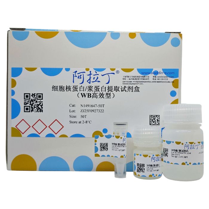 细胞核蛋白/浆蛋白提取试剂盒（WB高效型）