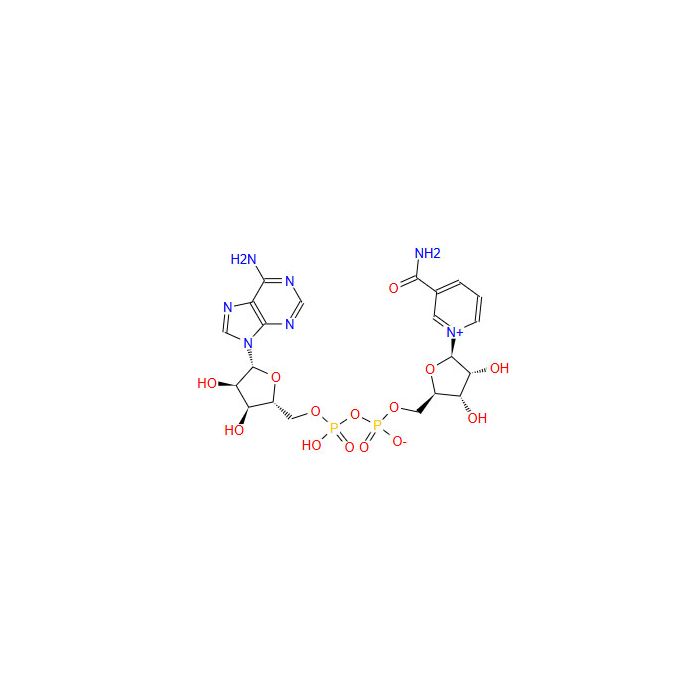 β-烟酰胺腺嘌呤二核苷酸(NAD)