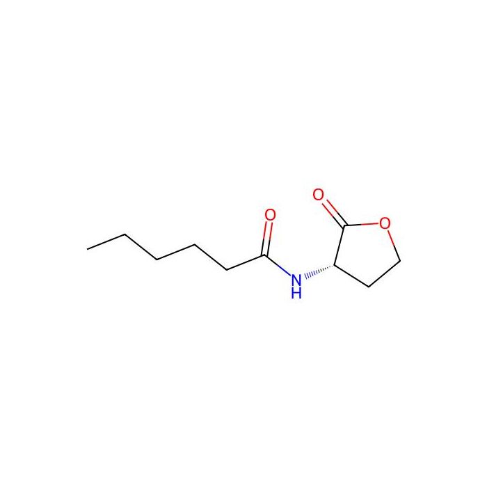 N-Hexanoyl-L-homoserine lactone