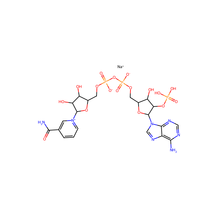 β-烟酰胺腺嘌呤二核苷酸磷酸钠盐(NADP)