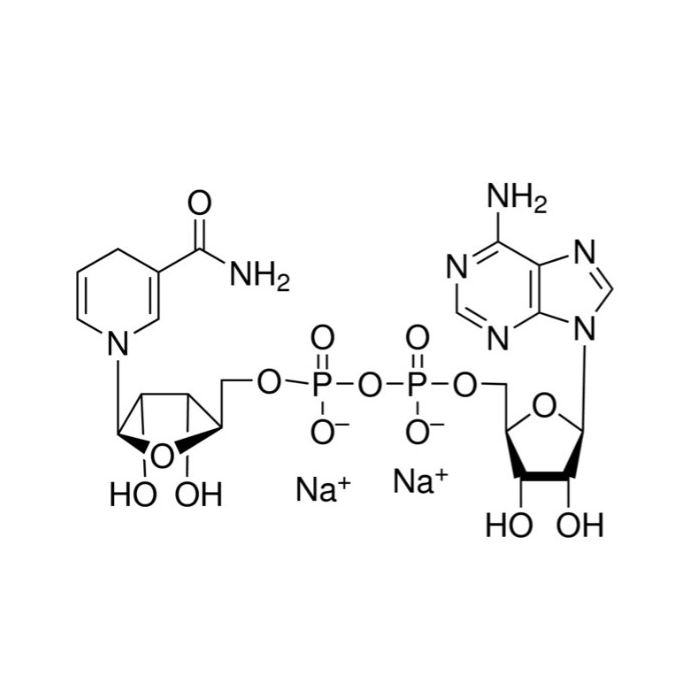 还原型辅酶I 二钠(β-NADH)
