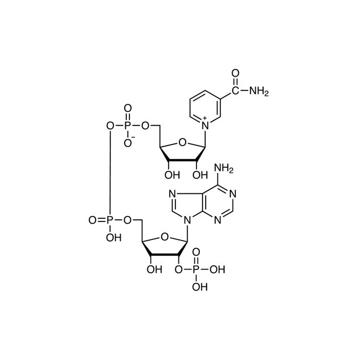 β-烟酰胺腺嘌呤二核苷酸磷酸