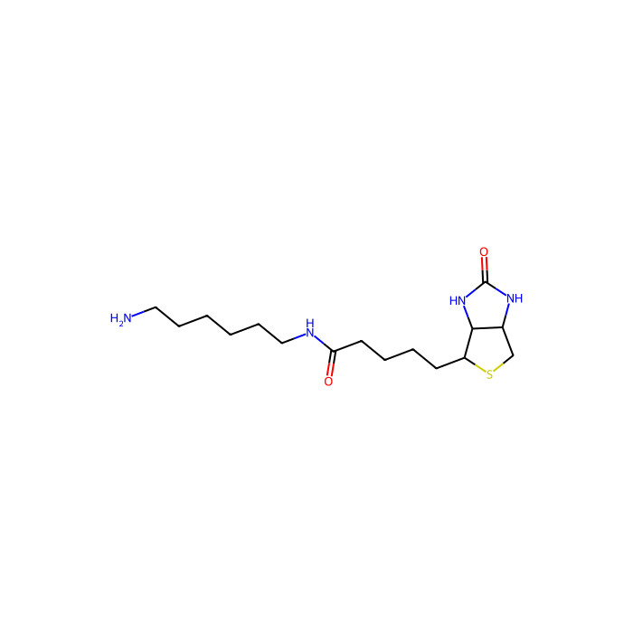 N-生物素基-1,6-己二胺