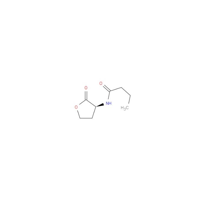 N-丁酰-L-高丝氨酸内酯