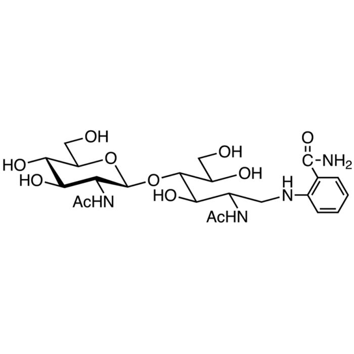 N,N'-二乙酰基壳二糖2AB (500pmol/vial)