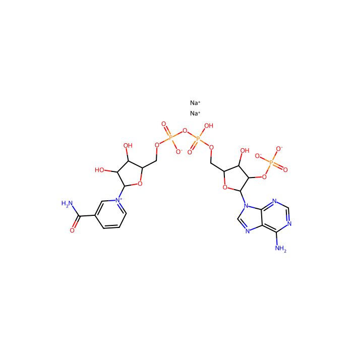 氧化型辅酶II 二钠(β-NADP-Na2)