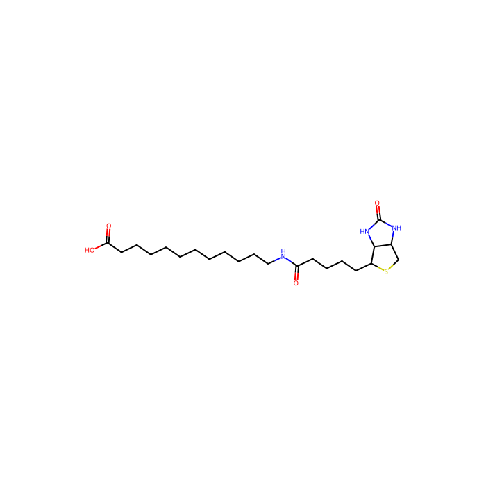 N-生物素十二烷基酸