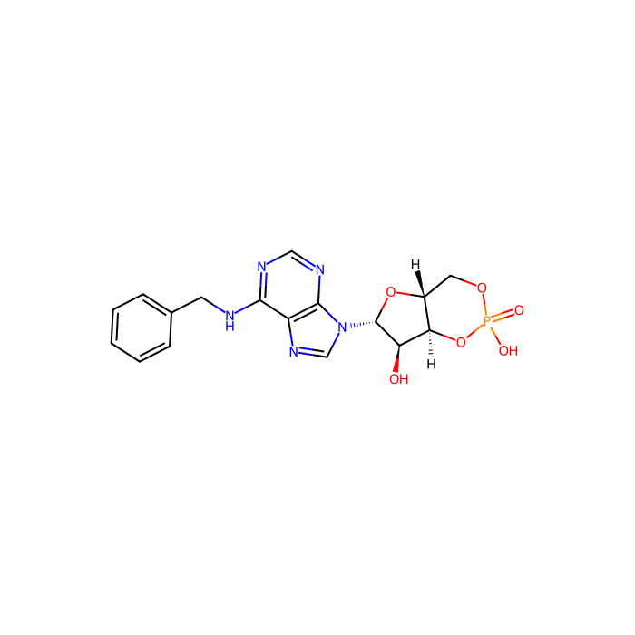 N⁶ benzyl-cAMP, 蛋白激酶 A 激活剂