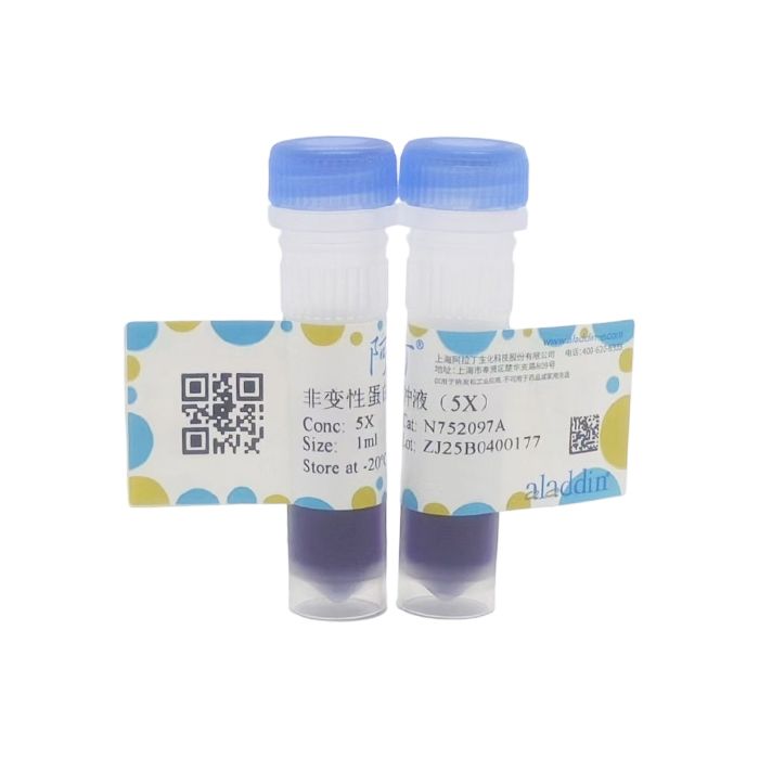 非变性蛋白上样缓冲液（5X）