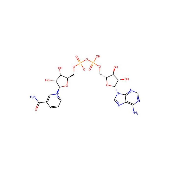 β-烟酰胺腺嘌呤二核苷酸 水合物