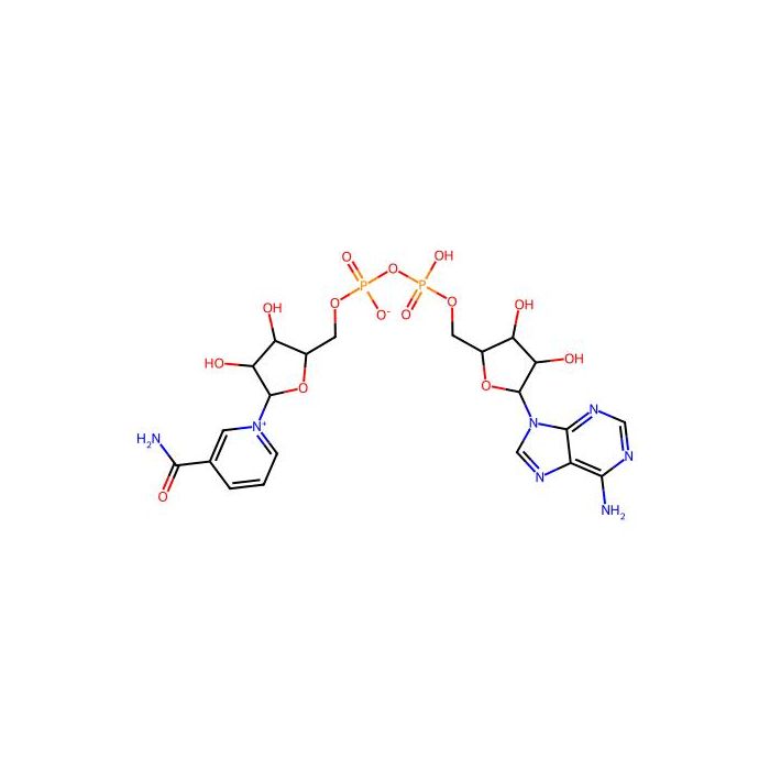 α-烟酰胺腺嘌呤二核苷酸