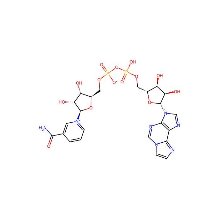烟酰胺1，N6-乙烯基腺嘌呤二核苷酸