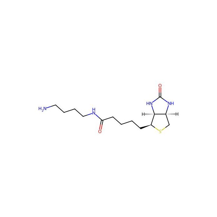 N-(4-氨基丁基)-5-((3aS，4S，6aR)-2-氧代六氢-1H-噻吩并[3，4-d]咪唑-4-基)戊酰胺