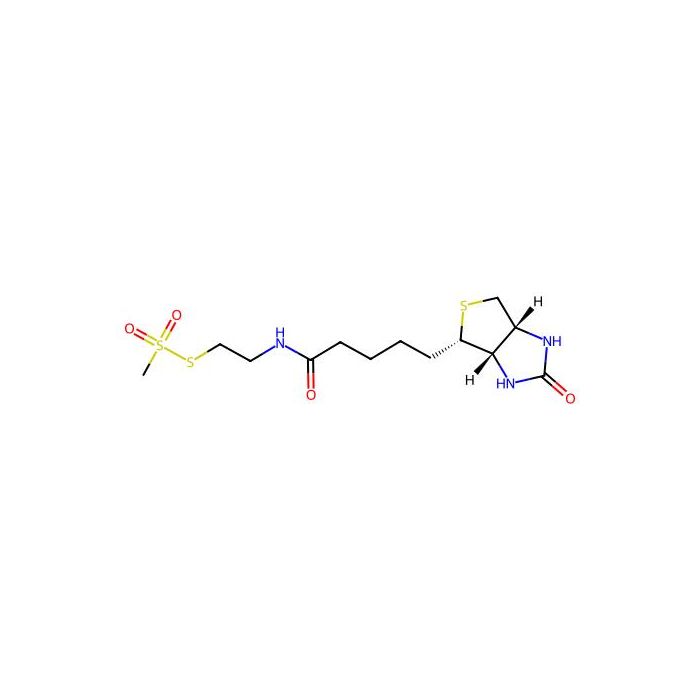 N-生物亚氨基乙基甲磺酸盐