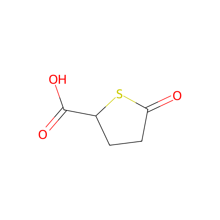 5-氧代硫杂环戊烷-2-羧酸