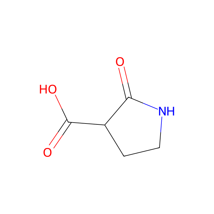 2-氧吡咯烷-3-羧酸
