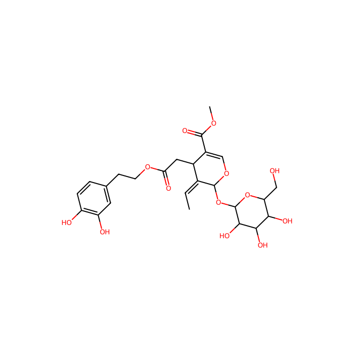 橄榄苦苷, TAS2R8 的激动剂