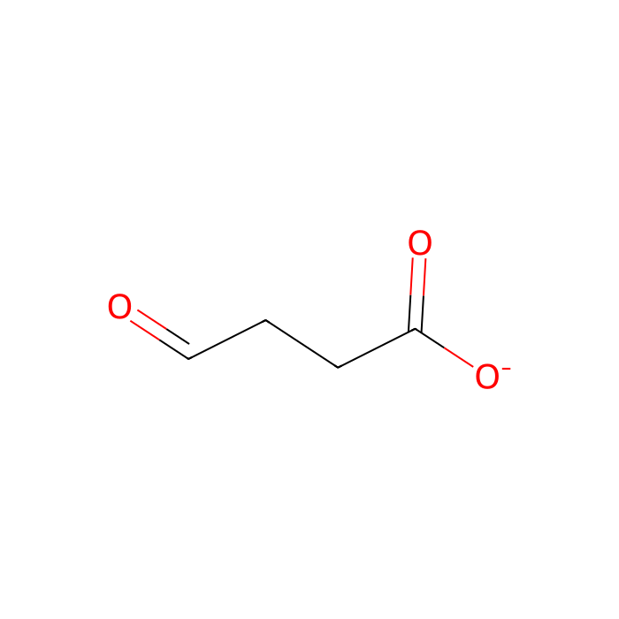 4-oxobutanoate