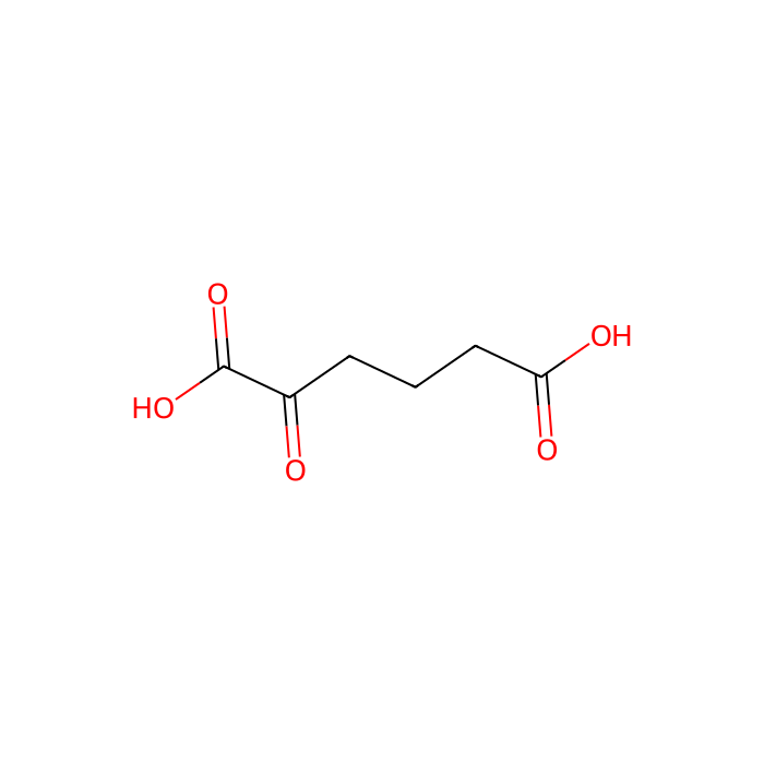 α-oxoadipic acid