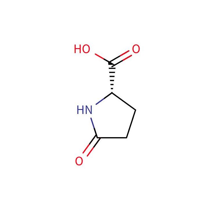 L-焦谷氨酸