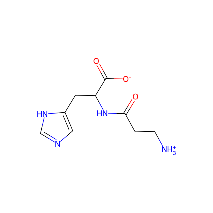 木瓜酶 来源于番木瓜乳液(冻干)