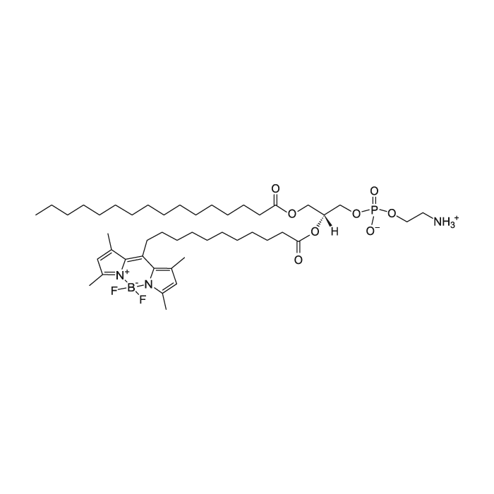 1-棕榈酰基-2-(二氟亚甲基二硼化硼)十一烷酰基-sn-甘油-3-磷酸乙醇胺