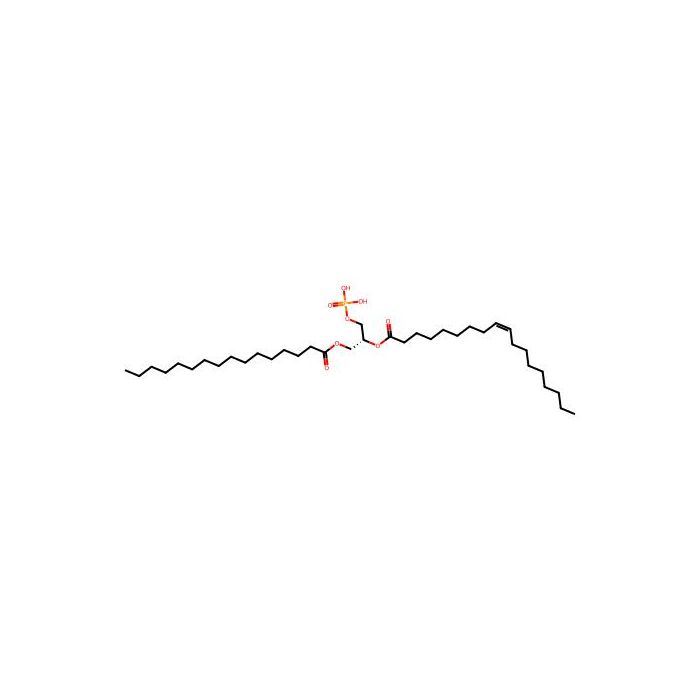 1-Palmitoyl-2-oleoyl-sn-glycero-3-phosphate