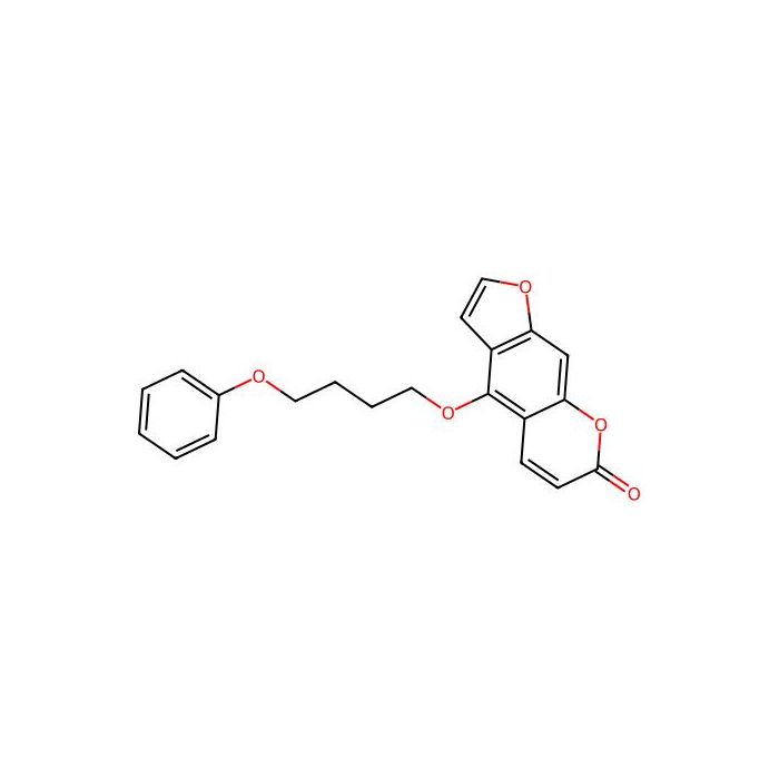 PAP-1