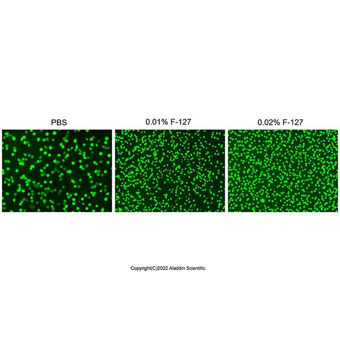 通透性提高剂Pluronic F-127 (10% in H₂O)